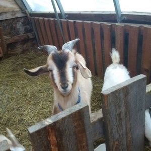 Meet your Posher, Tracy